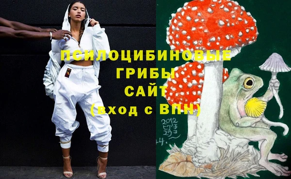 спайс Алексин