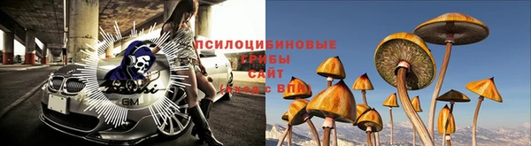 Альфа ПВП Новокубанск